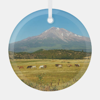 Mount Shasta Horse Herd Julgransdekoration