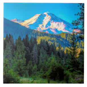 MOUNT SHASTA KAKELPLATTA