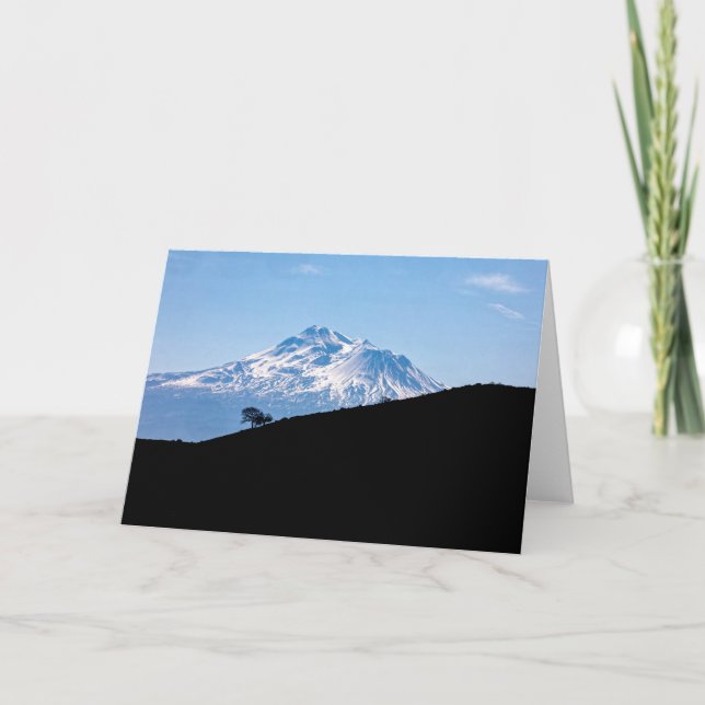 MOUNT SHASTA KORT (Framsida)