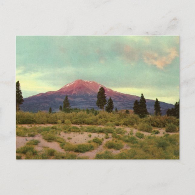 Mount Shasta Vintage Postcard Vykort (Framsida)