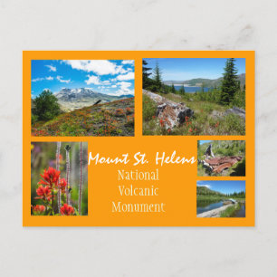 Mount St. Helens Collage Vykort