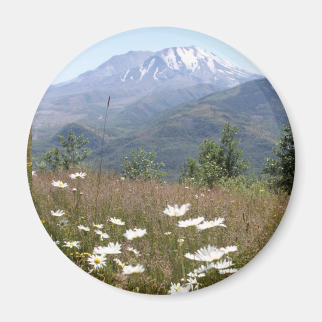 Mount St. Helens Magnet (Framsidan)