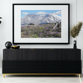 Mount St Helens Wildblommor Fototryck