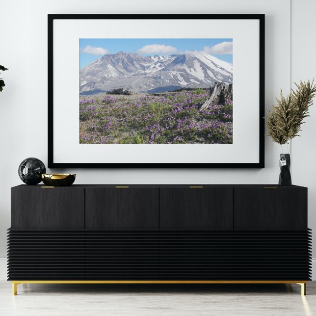 Mount St Helens Wildblommor Fototryck (In Situ Framed)