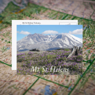 Mount St Helens Wildblommor Travel Photo Vykort