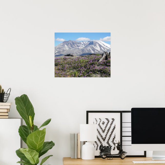 Mount St Helens Wildflowers Fotografisk Poster (Hemmakontoret)