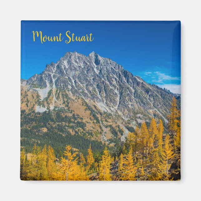 Mount Stuart Autumn Larches Magnet (Framsidan)