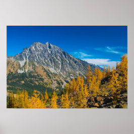Mount Stuart och höstlarver Poster