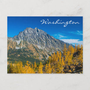 Mount Stuart och höstlarver Vykort