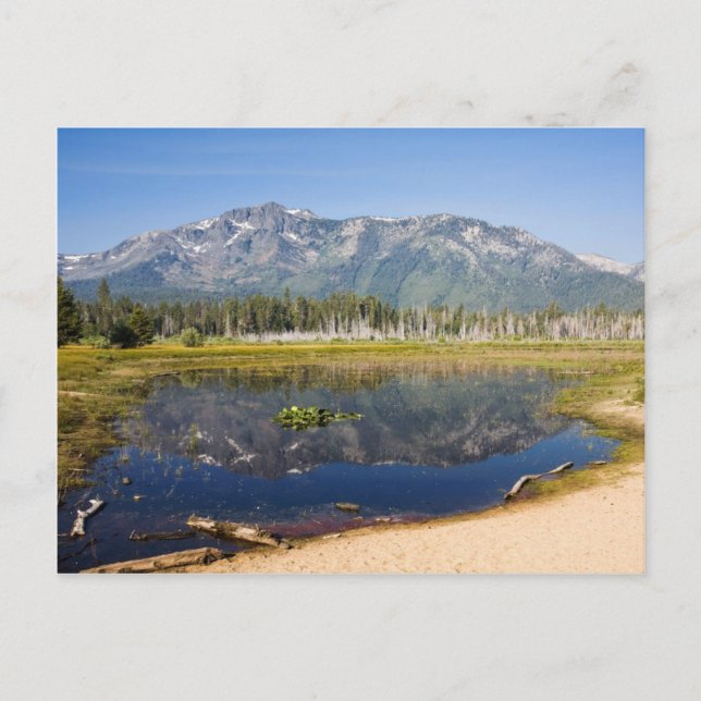 Mount Tallac Reflection Vykort (Framsida)