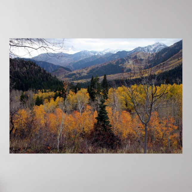 Mount Timpanogos, Utah Poster (Framsidan)