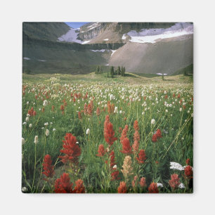 MOUNT TIMPANOGOS WILDERNESS, UT, USA, MAGNET