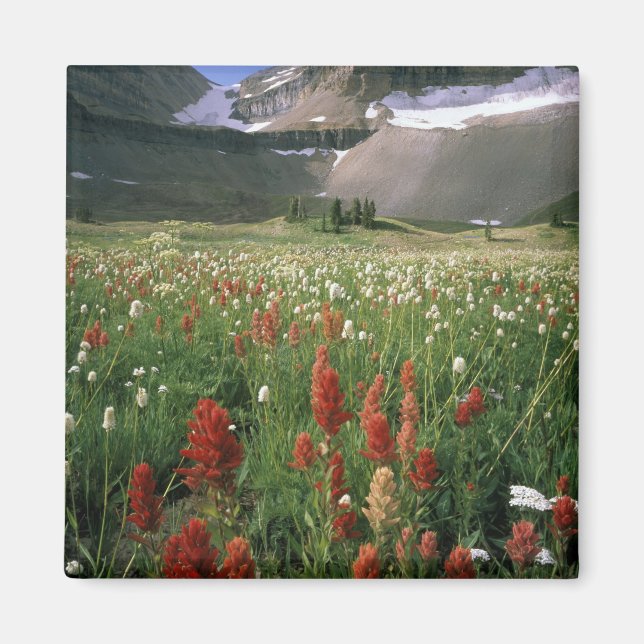 MOUNT TIMPANOGOS WILDERNESS, UT, USA, MAGNET (Framsidan)