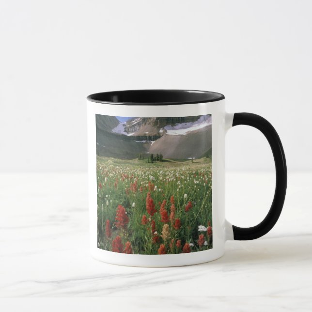MOUNT TIMPANOGOS WILDERNESS, UT, USA, MUGG (Höger)