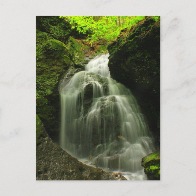 Mount Toby Roaring Falls Waterfall Vykort (Framsida)