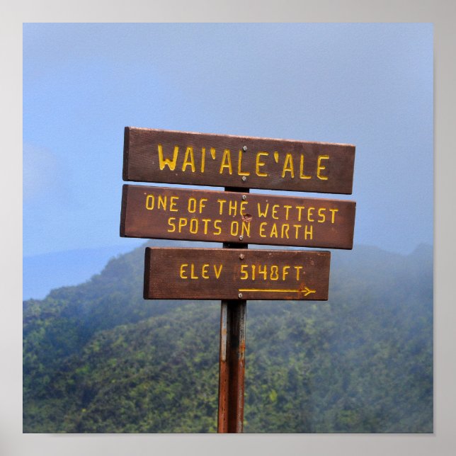 Mount Waialeale Sign, Kauai, Hawaii Poster (Framsidan)