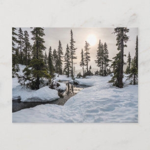 Mount Washington, British Columbia Vykort