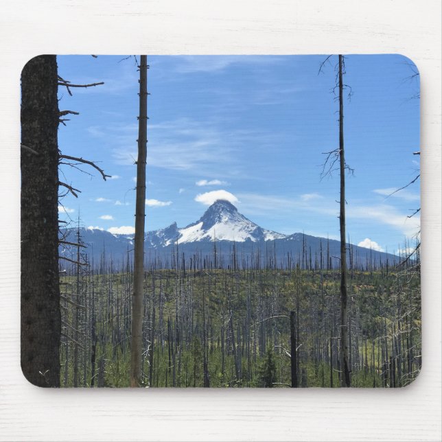 Mount Washington, Oregon Musmatta (Framsidan)
