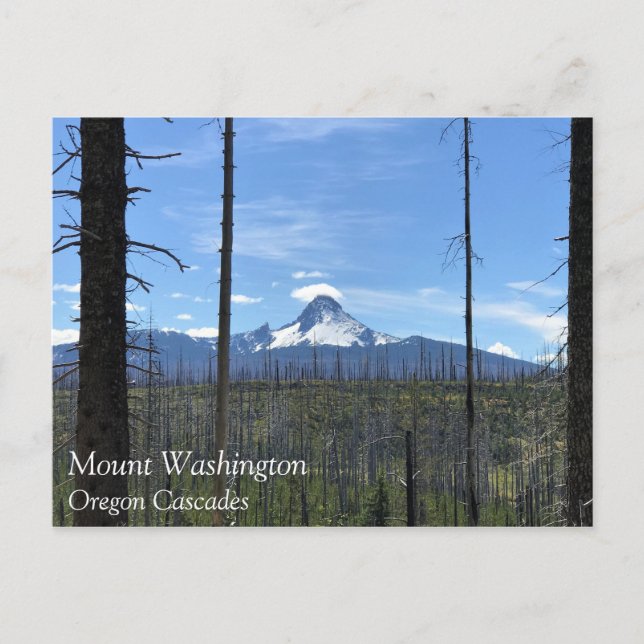 Mount Washington, Oregon Vykort (Framsida)