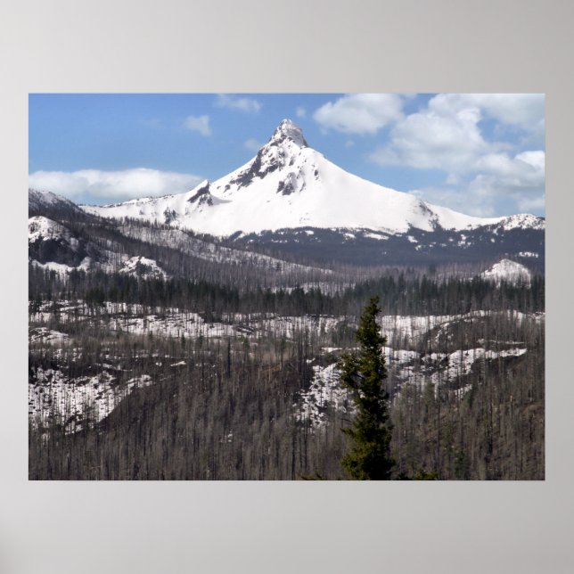 Mount Washington Poster (Framsidan)