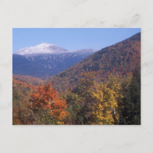 Mount Washington Snö Foliage Vykort