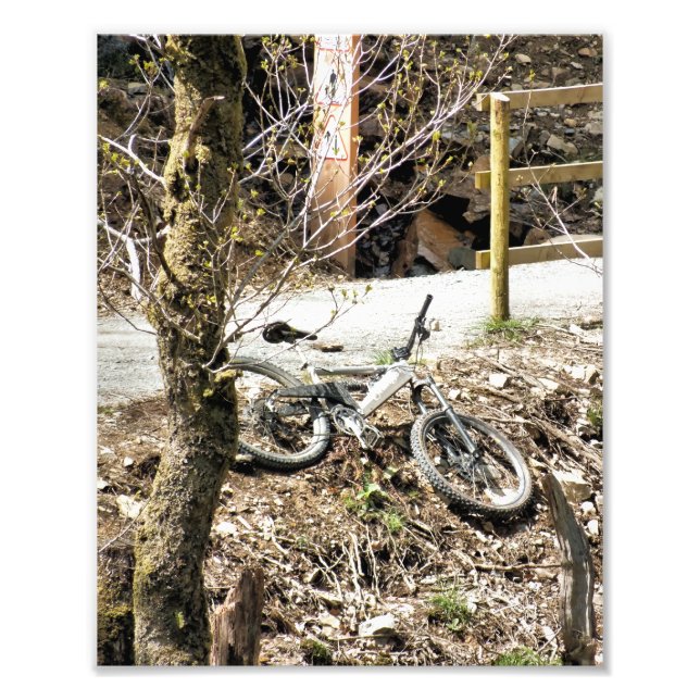 MOUNTAIN BIKE FOTOTRYCK (Framsidan)