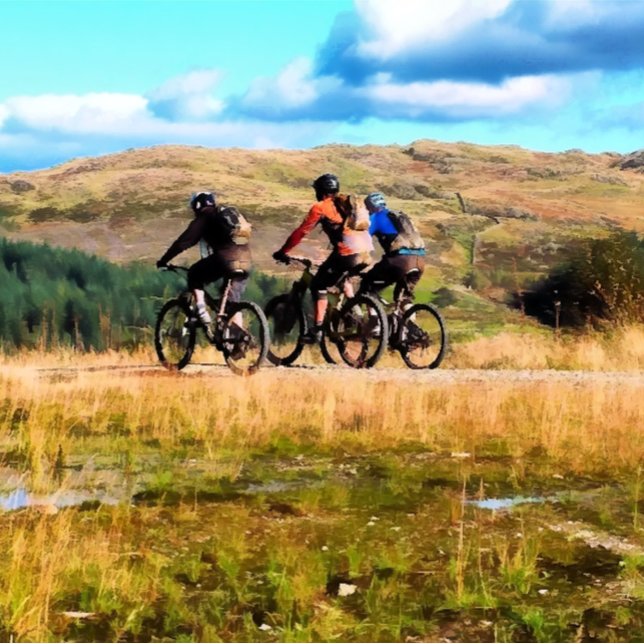 MOUNTAIN BIKING CANVASTRYCK (Skapare uppladdad)