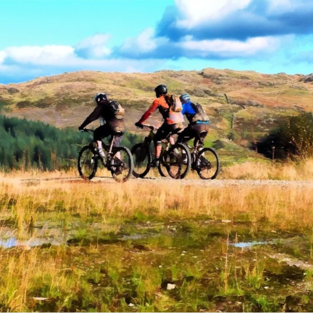 MOUNTAIN BIKING JULGRANSPRYDNAD KERAMIK (Skapare uppladdad)