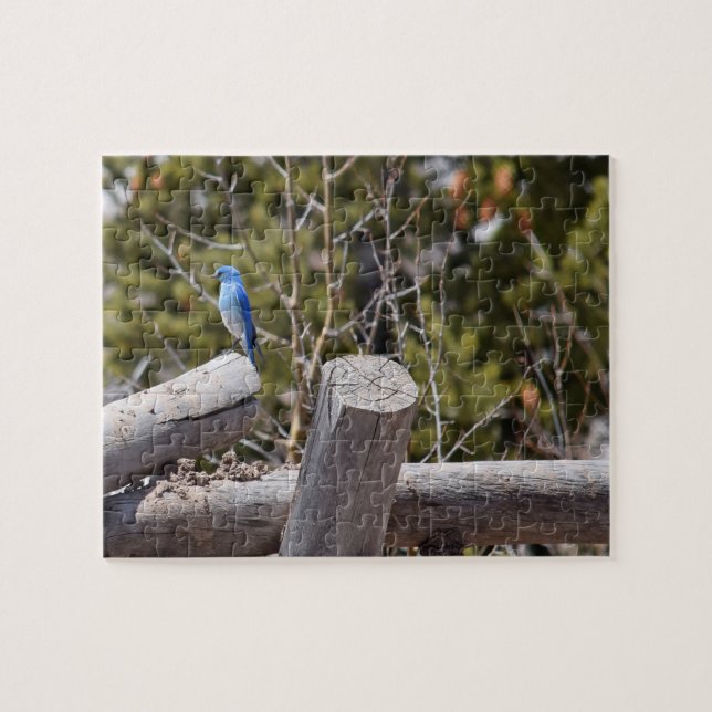 Mountain Blue Jay - 8x10 - 110 pcs Pussel (Horisontell)