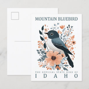 Mountain Bluebird Bird of Idaho USA Travel Vykort