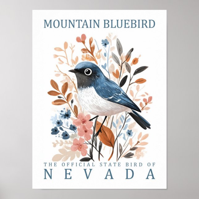 Mountain Bluebird Bird of Nevada USA Poster (Framsidan)