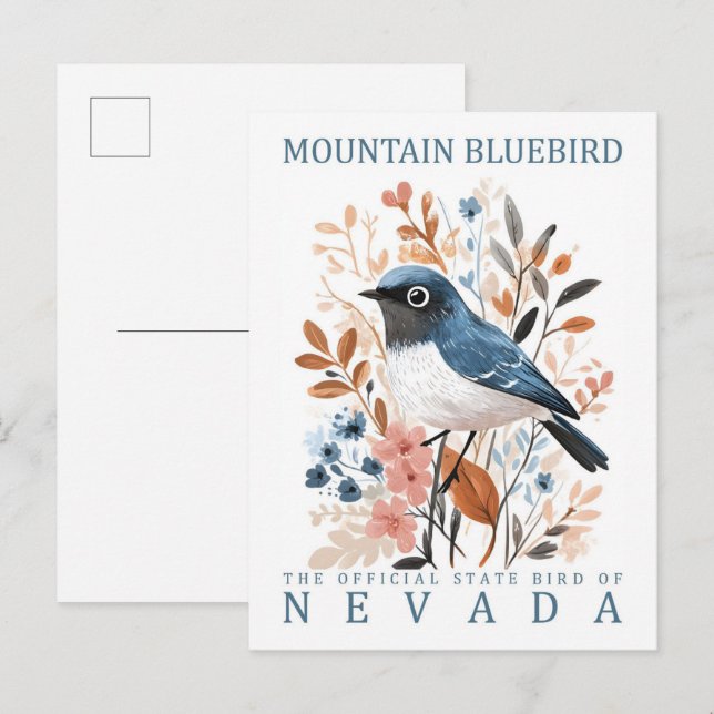 Mountain Bluebird Bird of Nevada USA Vykort (Fram/baksida)