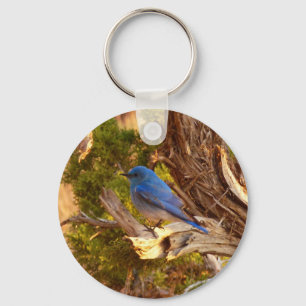 Mountain Bluebird i Arches nationalpark Nyckelring