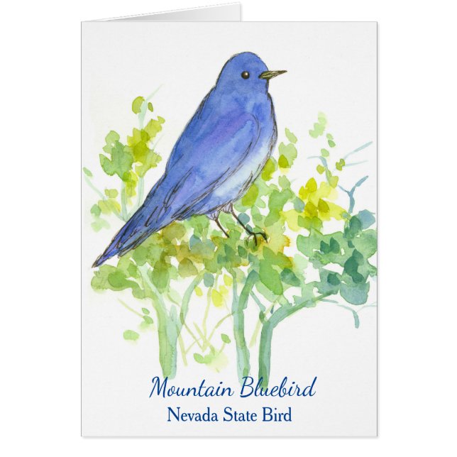 Mountain Bluebird Nevada State Bird Blank Hälsningskort (Framsidan)