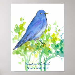 Mountain Bluebird Nevada State Bird Watercolor Poster
