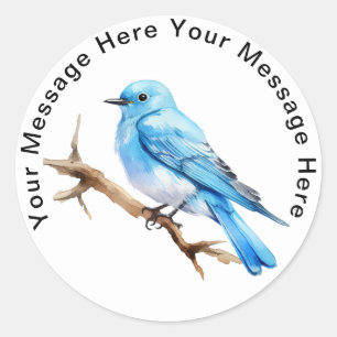 Mountain Bluebird Runt Klistermärke
