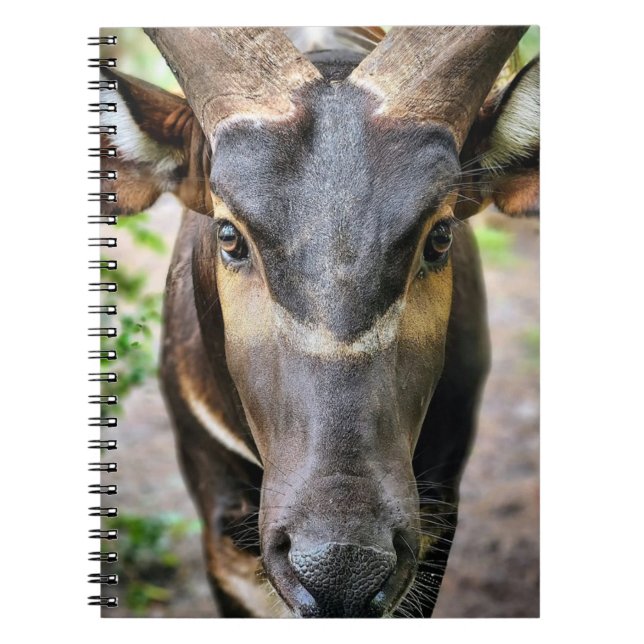 Mountain Bongo Antelope Anteckningsbok (Framsidan)