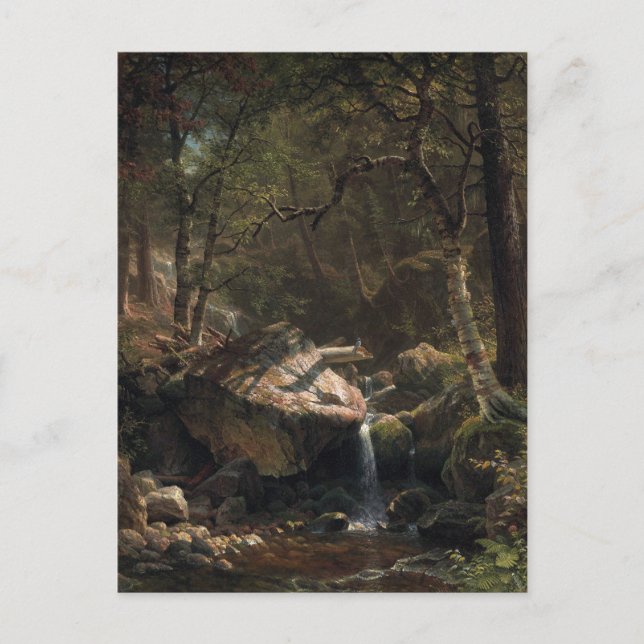 Mountain Brook av Albert Bierstadt Vykort (Framsida)