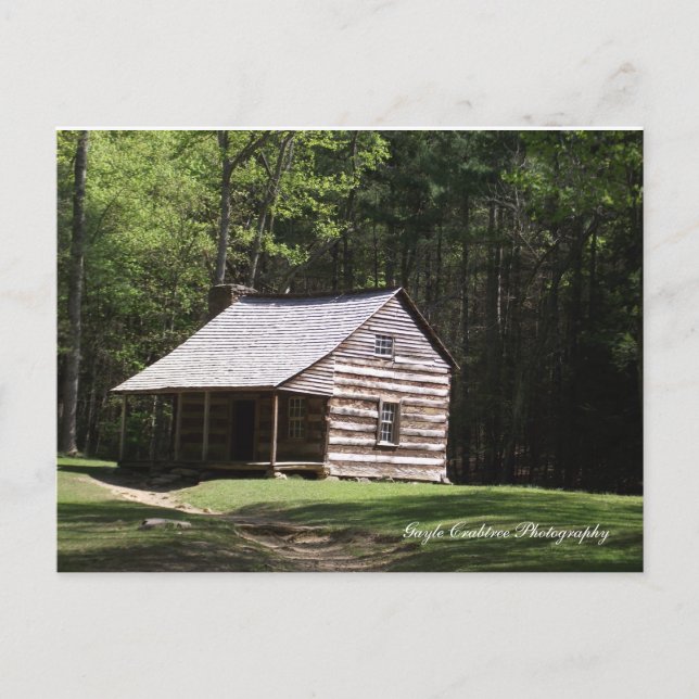 Mountain Cabin Vykort (Framsida)