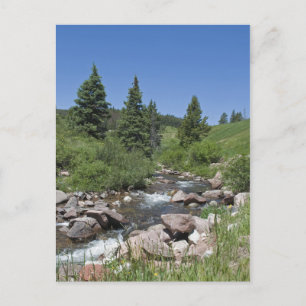 Mountain Colorado Stream Vykort