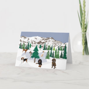 Mountain Coonhounds Kort