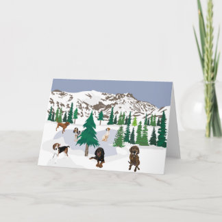 Mountain Coonhounds Kort