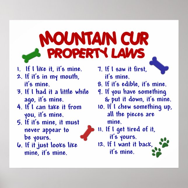 MOUNTAIN CUR PL2 POSTER (Framsidan)