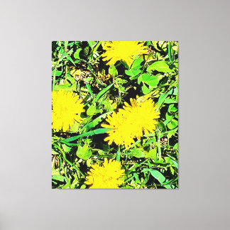 Mountain Dandelions Photo from Ottawa Canada Canvastryck