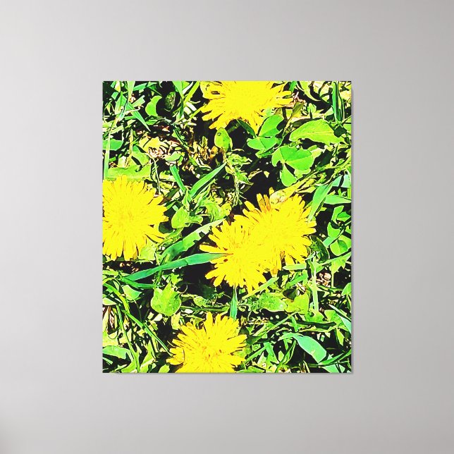 Mountain Dandelions Photo from Ottawa Canada Canvastryck (Framsida)