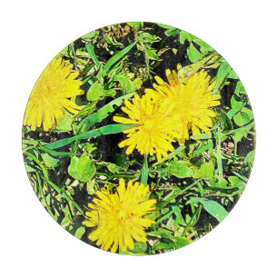 Mountain Dandelions Photo. Köp nu