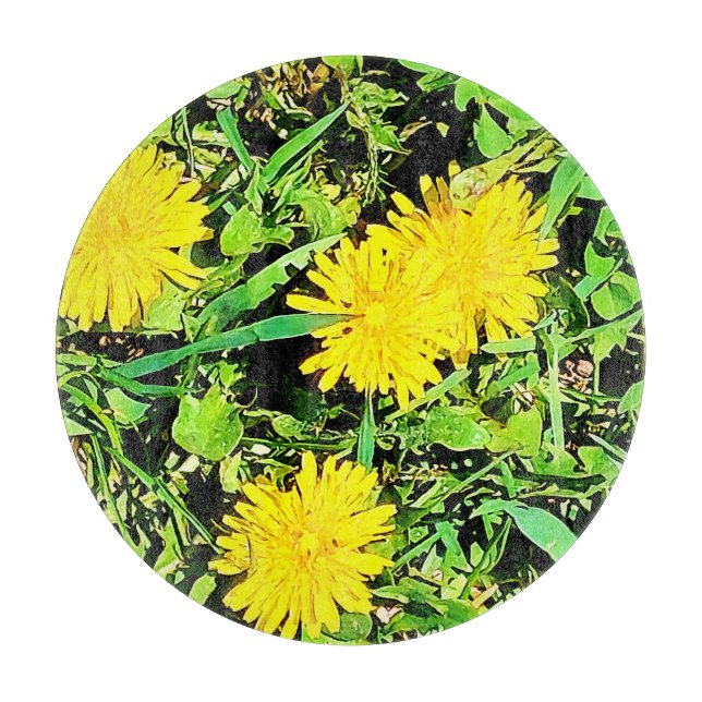 Mountain Dandelions Photo. Köp nu (Framsidan)