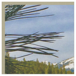 Mountain Fall Fabric Tyg