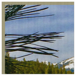 Mountain Fall Fabric Tyg
