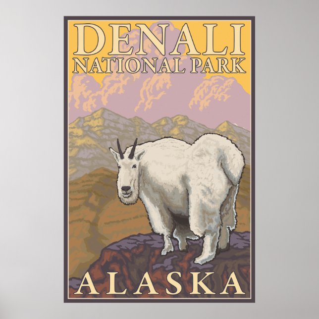 Mountain Goat - Denali National Park, Alaska Poster (Framsidan)